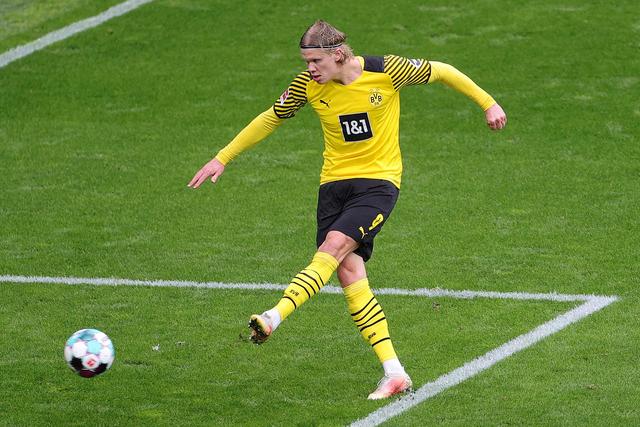 情与悬念 情与悬念