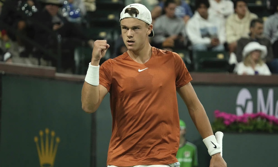 领域发挥极 领域发挥极