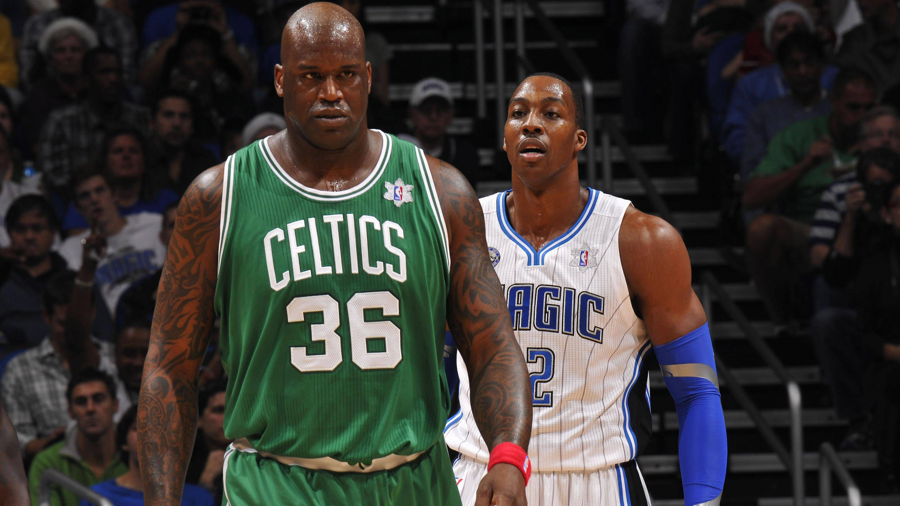 稳定器般的 稳定器般的