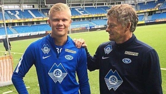 全年口碑 全年口碑